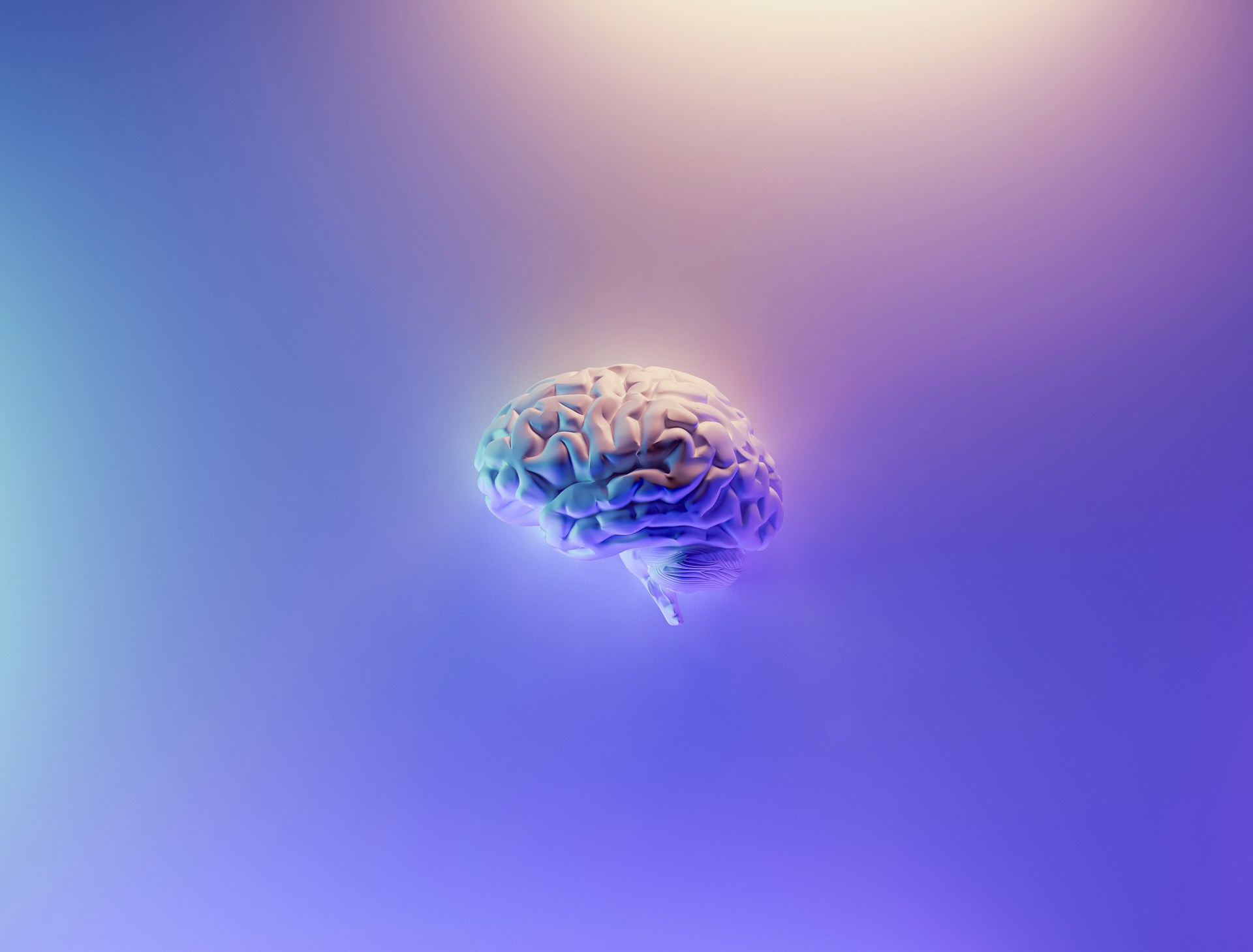 Neuroplasticity: How Our Brains are Wired for Change - The